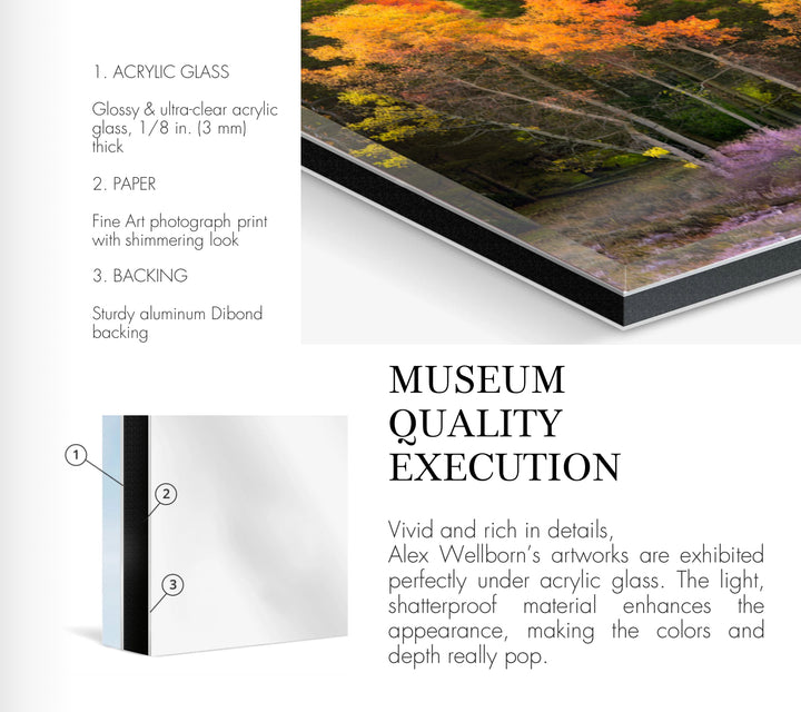 Fine Art Photography |  Limited-Edition Museum-Quality Acrylic Print | "Path to Catalina N 1"