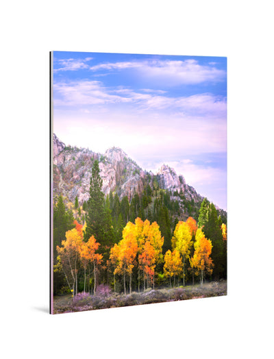 Fine Art Photography | Limited-Edition Museum-Quality Acrylic Print | "Autumn N 1"