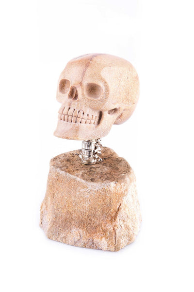 Skull Statue "Bones" - Surround Art & Diamonds Sculpture by L'Aquart